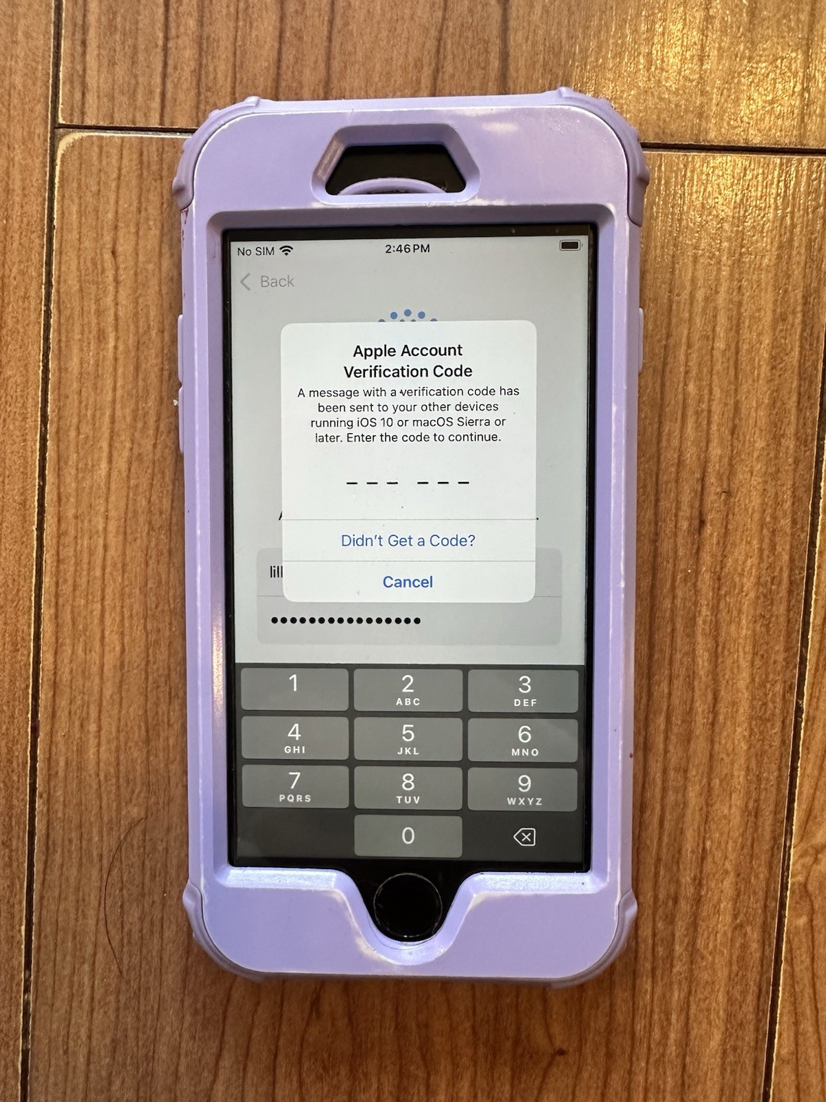 Apple iPhone SE 2nd Second Generation 64 GB