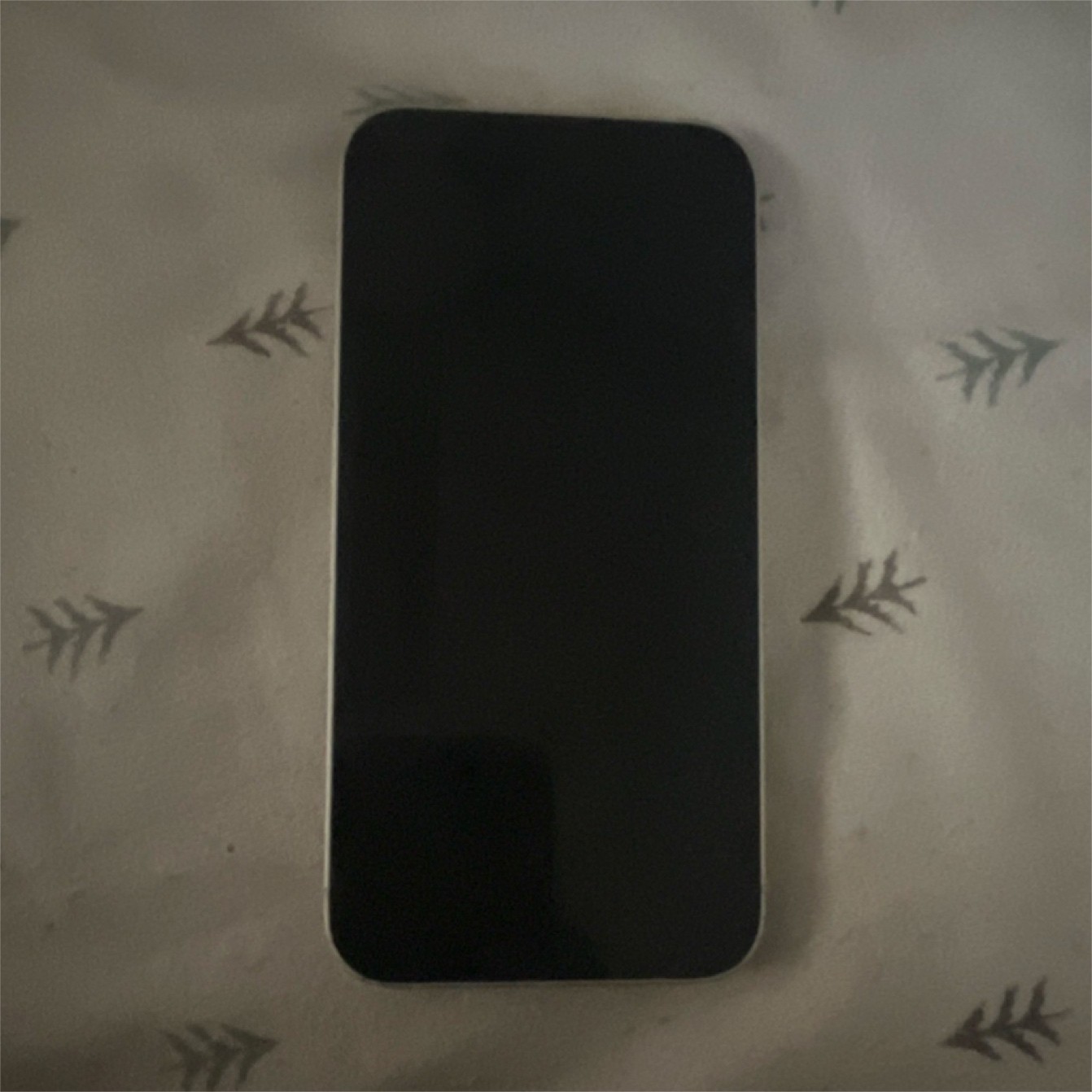 Apple White Bar Smartphone with Dual Rear Cameras, Sleek Design and White Back