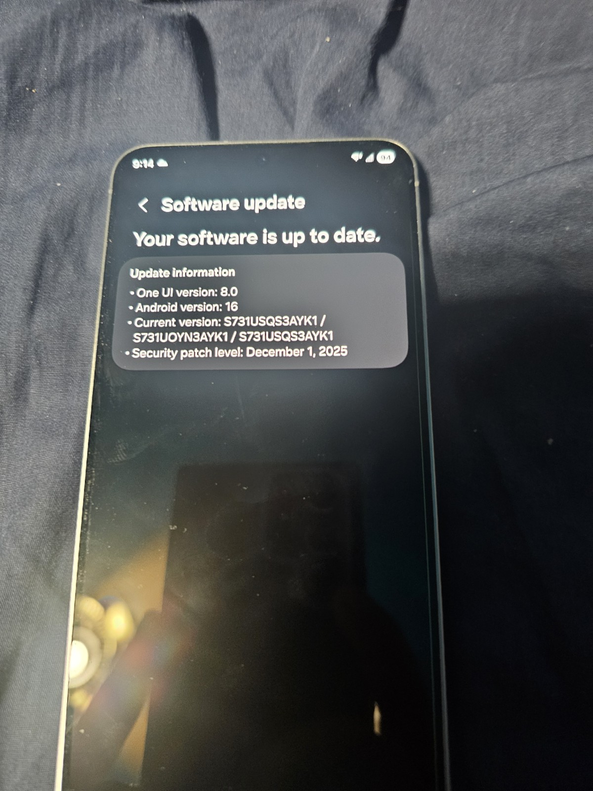 S25FE For AT&T *Software Issues*