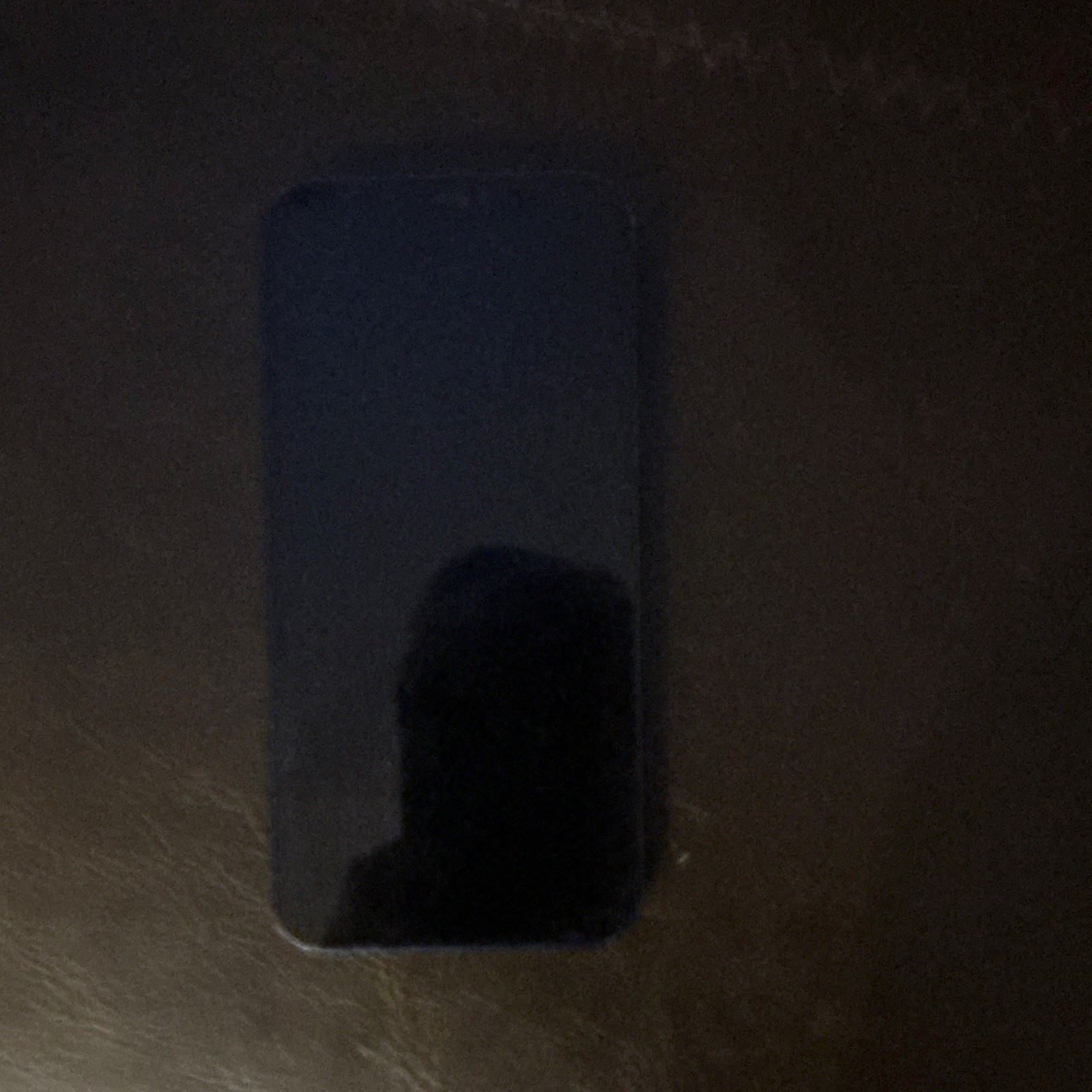 Apple 12