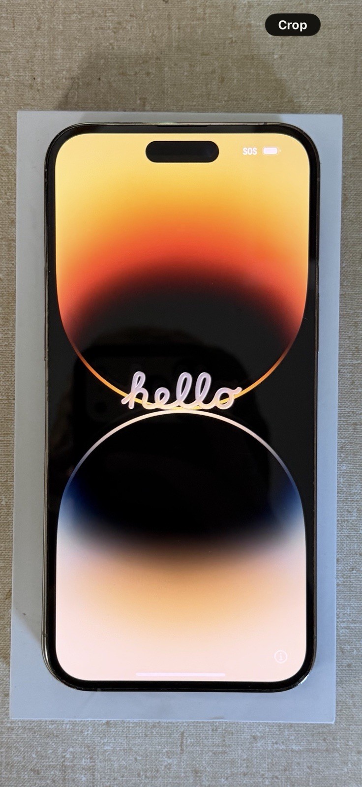 Apple iPhone 14 Pro Max 256GB Gold Unlocked iOS 6.7in Open Box
