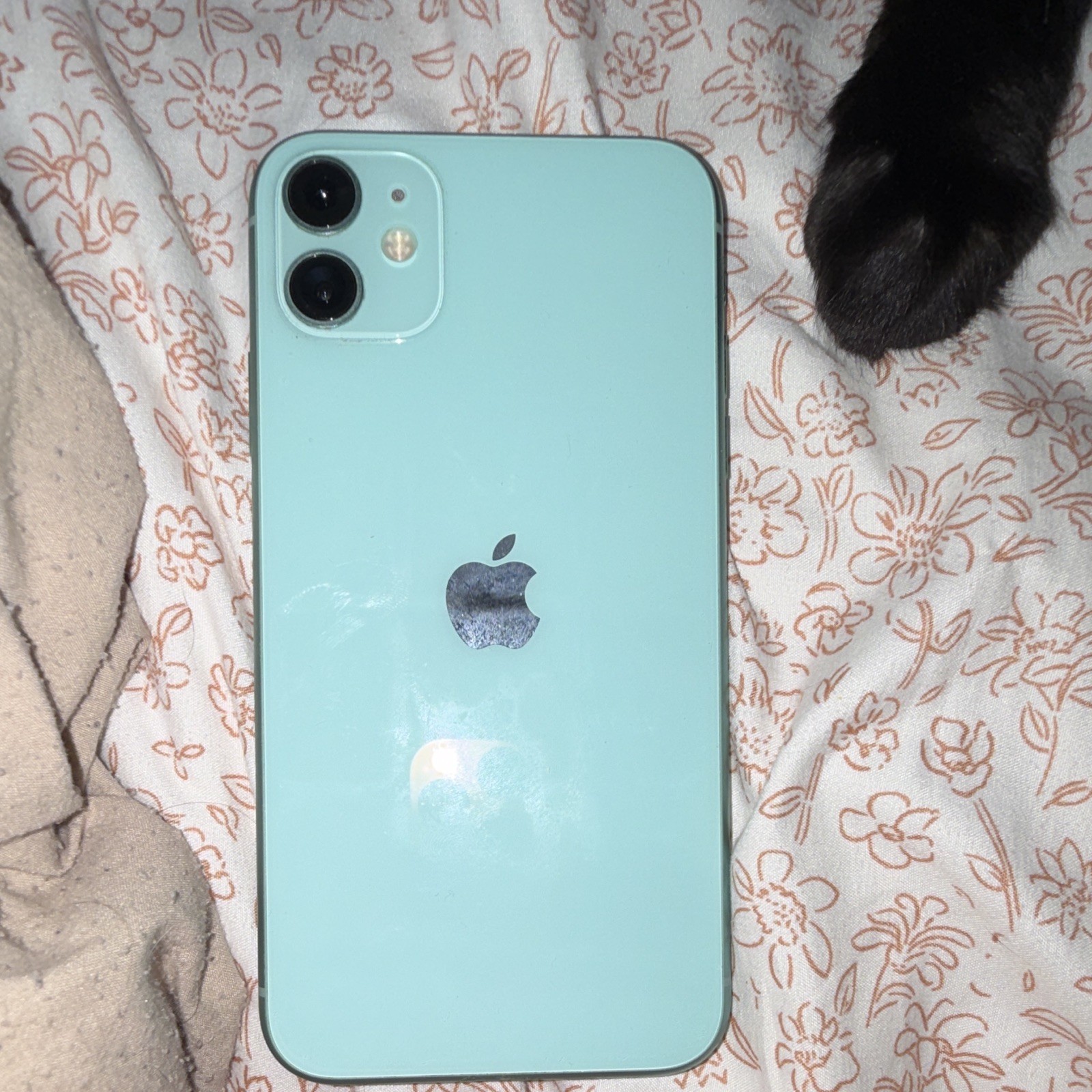 Apple iPhone 11 64GB Green Unlocked iOS Smartphone 12MP Dual Rear Camera