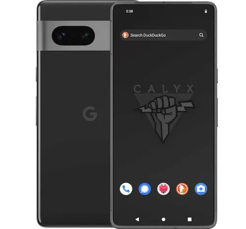 Remote or Mail-In De-Googling and Encryption Service: Calyx or Graphene Install